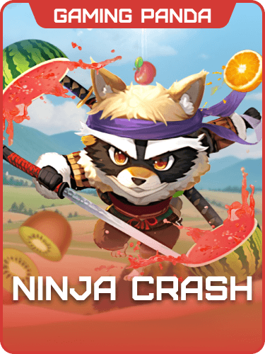 Ninja Crash